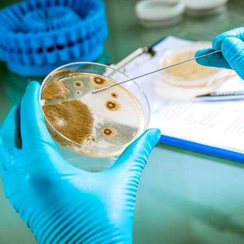 SHINEOFI 10pcs Nutrient Agar Petri Dishes, 7cm Pre-Poured Agar Plates for Laboratory Use School Projects and Research Science Experiment Prepoured Supplies - Thumbnail 4