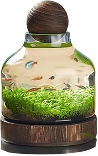 CokBlu KX ق̓W⎺iϑɓK ؐgC𓯍 ̊ɔzfނŐ k͔|̎{~jhXP[v̍쐬ɑΉ 肵\ňS rOEQȂǗlXȎԂɐݒu\ȑړIKXe?