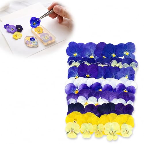 40-Pack Natural Dried Pansy & Viola Flower Mix for Cake Decorating - Edible Pressed Flowers for Desserts Cocktails Resin Jewellery & DIY Craft Projects Vibrant Colours Food Safe (40 PS)