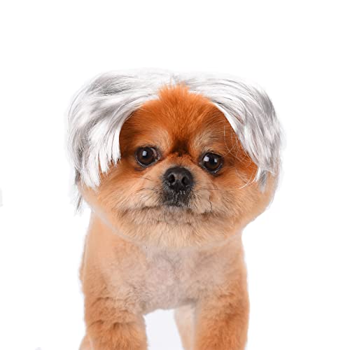 TESSVEYA Peruca divertida para cosplay de cães, gatos, acessório de cabeça, fantasia de gato para Ha