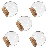 Cloche en verre à motif de fleur éternelle – idéale pour présenter des plantes artificielles, des figurines, des souvenirs et bien plus , pour une mise en valeur unique