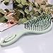 Chiara Ambra Detangling Spiral Hairbrush for Women, Men & Children, Vented Straightening Brush for Curly & Wet Hair - Does not Pull, Mint Green