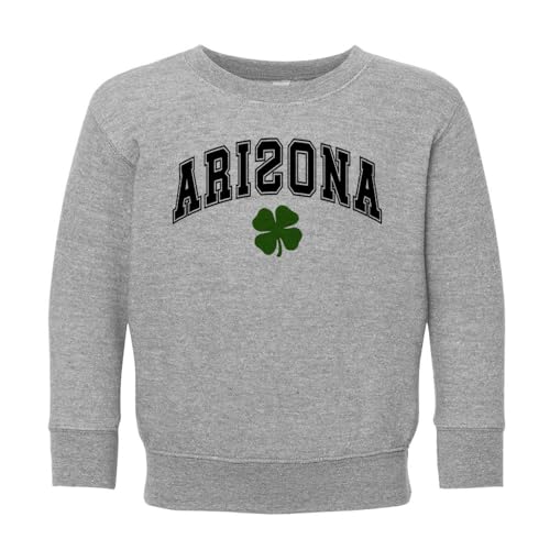 Shamrock Arizona Kids Sweatshirt Toddler 2T Heather Grey