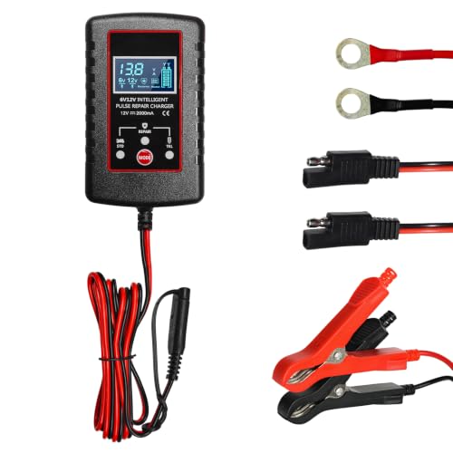 6V/12V Automatic Maintainer