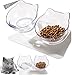 LIFANG Futternäpfe Katzen Futter,15 ° Kippbare katzennäpfe Doppelter Futternäpfe Katzenfutter Transparente Katzenfutterschale Futternapf Katze Katzennäpfe für Katze Welpe Futter und Wasser