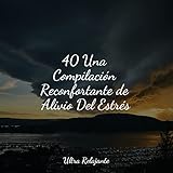  Arena Y Agua