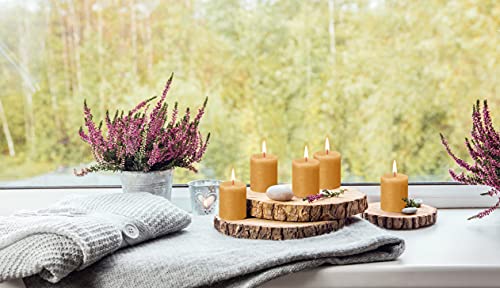 Bolsius 4 Pack Yellow Rustic Pillar Candles - 2.75 X 3.25 Inches - Premium European Quality - Natural Eco-Friendly Plant-Based Wax - Unscented Dripless Smokeless 35 Hour Party And Wedding Candles #TOP7