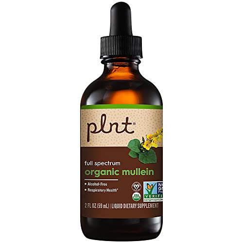 Organic Liquid Mullein a