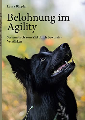 Belohnung im Agility: Systematisch zum Ziel durch bewusstes Verstärken