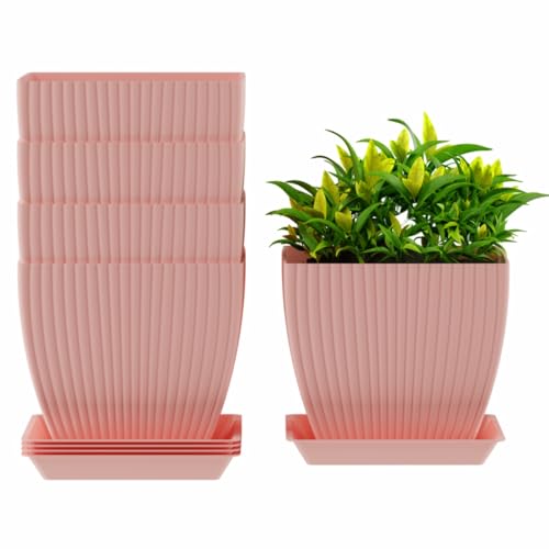 Image of HOMIFLY 5 Pack Plastic Square Flower Pots with Drainage & Bottom Tray /Lightweight, UV & Weather Resistant /6.5 Inch Planters for Indoor /Outdoor /Home /Balcony /Terrace /Garden Plant Pots (Baby Pink)