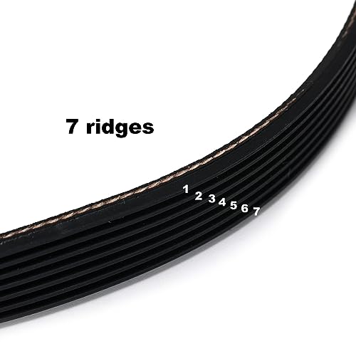 Ruimou PJ490 (7 Ridges) Rubber Drive Belt, 1Pcs, 490mm Circumference, Compatible with QUALCAST Rotary Mowers - Image 3