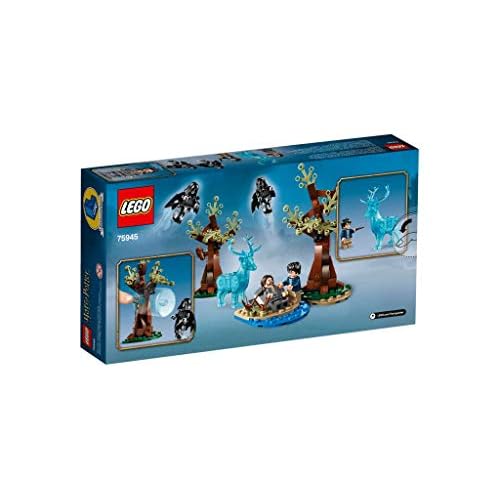 LEGO Expecto Patronum
