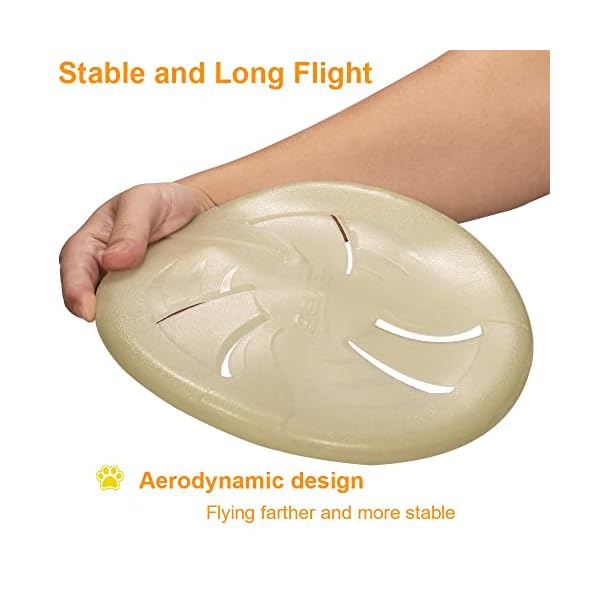 Lightweight Dog Catch and Fetch Toys