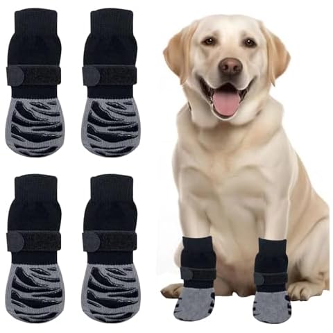 Chaussettes Chien BSITSSS Cover
