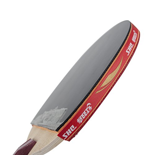 Image of DHS Ping Pong Paddle A4006, Table Tennis Racket - Penhold