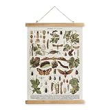 MIDEFINCH Vintage Insect Wall Art Linen Poster with Wooden Hanger