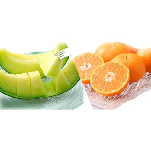 [2025年6月上旬より発送]浜松市の夏のフルーツ定期便 2回(6月〜7月)クラウンメロン・ハウスみかん