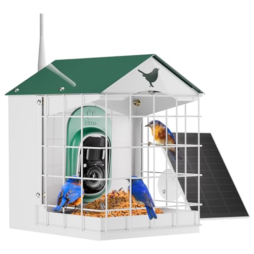 Titto Squirrel Proof Bird Feeder with Camera, Solar Power Metal