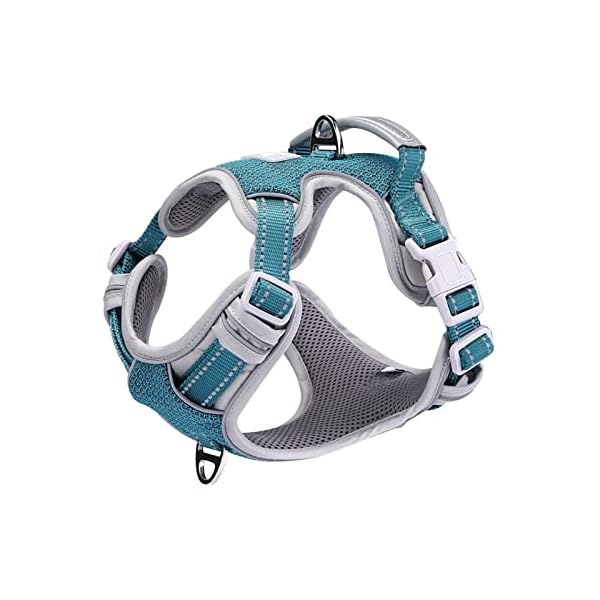 Huntboo Front Clip Harness, No Pull Dog Harness with Soft Leather Handle,2 Metal D-Ring & Extended Chest Pad for Walking, Training, Hiking,and Running Gear Blue (S) Huntboo Front Clip Harness, No Pull Dog Harness with Soft Leather Handle,2 Metal D-Ring & Extended Chest Pad for Walking, Training, Hiking,and Running Gear Blue (S)