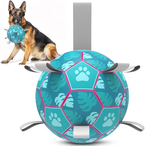 HETOO Dog Toys Soccer Ball, Interactive Dog Toys for Tug of War, Puppy Birthday Gifts,Dog Tug Toy, Dog Water Toy, Durable Dog Balls for Small & Medium Dogs-Lake Blue(8 inch)