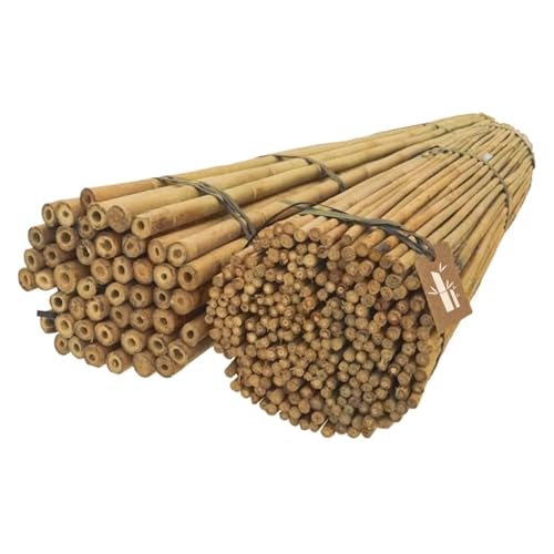 Dixiestore Bambusstangen | Bambusstangen Set Blumenstützen | Robuste Pflanzstäbe aus Bambus 120 cm x 8-10 mm, 25 Stück, Breiter Einsatz, Pflanzenstütze, natürliche Farbe