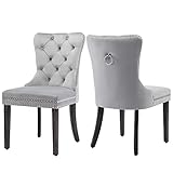 GOOLON Velvet Dining Chair Set of 2 Wingback Tufted Chairs Upholstered Dining Chairs with Nailhead R