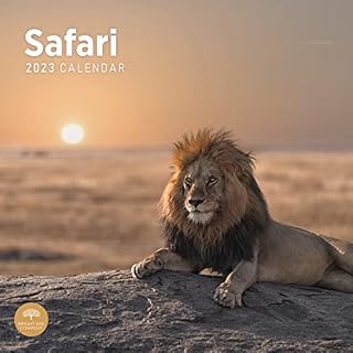 2023 Safari Monthly Wall Calendar by Bright Day, 12 x 12 Inch, African Exotic Wild Animal Landscape