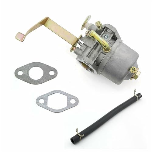 Carburador para cortacésped: repara fallos de arranque Einhell 2