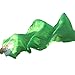 France Wispun 1.8m Long Belly Dance Bamboo Fans Veils 8 Colors Right Hand (Green)