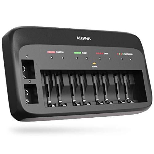 ABSINA Akku Ladegerät X10 für AA, AAA & 9V - Akkuladegerät 10-Fach zum Laden von wiederaufladbaren Akkus - NiMH Ladegerät Akku für AAA, AA & 9V