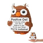 Wnzdp Owl Gifts for Women, Positive Knitted Owl Decor, Emotional Support Gift for Office Desk or Home, Motivational Handmade Decor