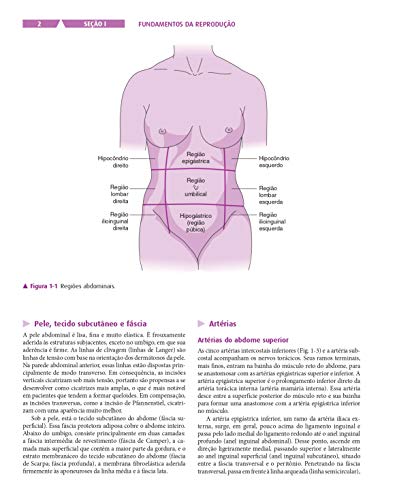 Ginecologia e Obstetrícia