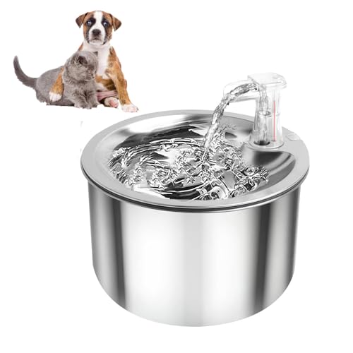 Fuente para gatos de acero inoxidable automática