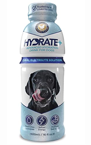 Generisch Oralade Hydrate+ Solution électrolytique pour chien 500 ml Cover