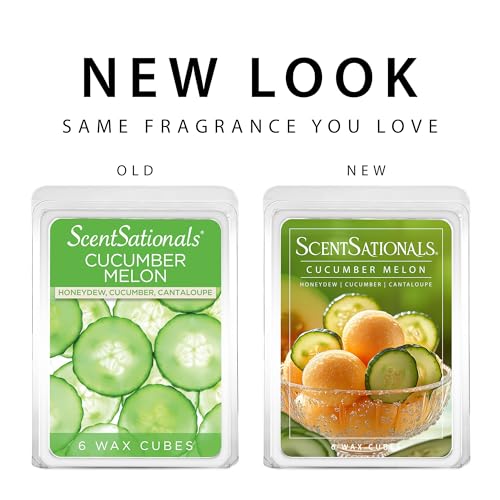 Scentsationals Wax Melts, Wax Cubes Strong Scent - Cucumber Melon - Long Lasting Scented Melts for Warmer, 10 oz (24-Cubes) - Image 5