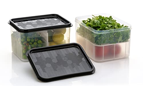 Image of Xiran Fridge Storage Containers, Storage Box for Kitchen, Refrigerator Organizer Containers, Kitchen Storage Box, 2 Partition, Fridge Storage Boxes, Pantry Organization (Pack of 6, 2300Ml)