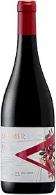 Vinho Tinto Chileno Vik A Summer Cabernet Nouveau 750ml