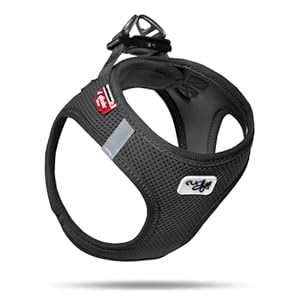 Basic Harness Air-Mesh Black XL