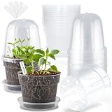 BTPLASTIK 6 Inch Clear Nursery Pots with Humidity Domes 15 Pack, Transparent Plastic Plant Pot with Drainage...