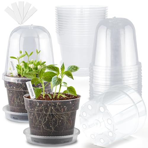 BTPLASTIK 6 Inch Clear Nursery Pots with Humidity Domes 15 Pack, Transparent Plastic Plant Pot with Drainage Holes and Saucers, Seed Starter Pots with 15 Pcs Plant Labels and 15 Pcs Soil Screens