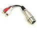 Birsppy BesYee XLR Y Splitter Patch Cable, 1 XLR Female to 2 RCA Male Adapter Cable 6inch (XLRFM-2RCAM)