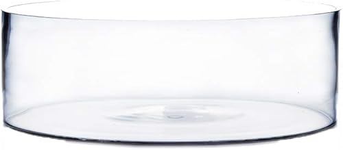 Vista 10 de WGV - Jarrón cilíndrico, ancho abierto de 8 pulgadas, altura de 4 pulgadas, recipiente transparente estilo sartén plana, terrario para maceta