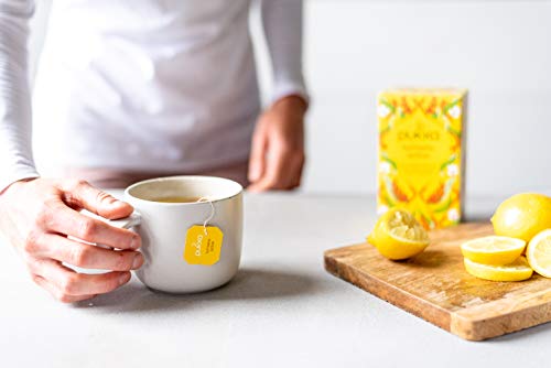 Pukka Organic Tea Bags, Turmeric Active Herbal Tea With Ginger And Galangal, Perfect For An Active Lifestyle, 20 Count (Pack Of 6) 120 Tea Bags #TOP6