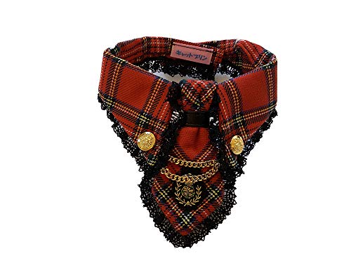 lR̂m Lbgv L Lbgv ^ RXv ybg LOBe SX lN^CVc ^[^`FbN uSX AX̃lN^CVc bh v M