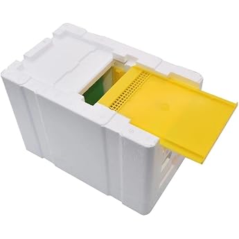 Beekeeping Queen Breeding Single Polystyrene Pairing Nucs Beehive Rearing Box Foam Double Layer Frame