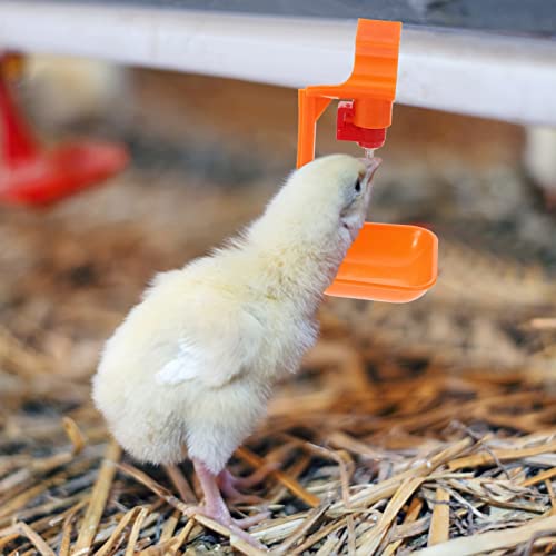 Alimentador de Aves de Avicultura de Mamilos de Frango: 10 Pcs Água Mamilos Automáticos Bebedores pa