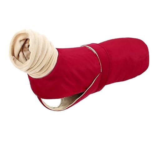 ̃R[gDF̃IIJ~}t[HgybghWPbg^^ (4XL,ubN)