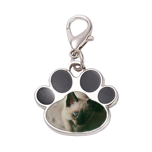 DIYthinker?Animal Blue Eye Kitten Gray Photograph Pet Tag Keychain Dog Cat ID