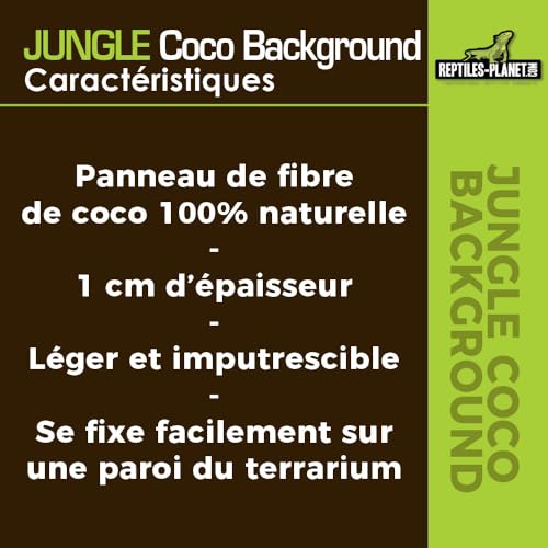 Reptiles Planet Rückwand für Reptilien/Amphibien Jungle Coco Background 30 x 30 x 1 cm