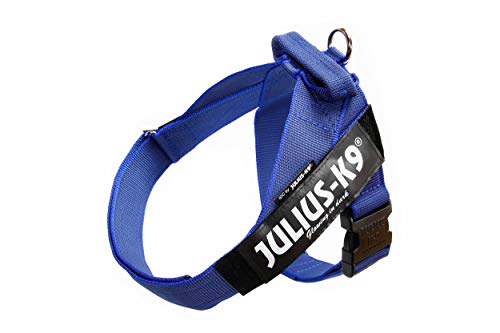 IDC Color & Gray Belt Harness for Dogs, Size 3, Blue-Gray